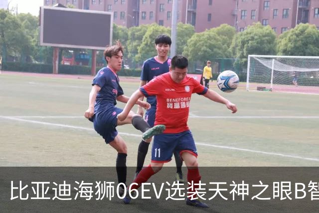 比亚迪海狮06EV选装天神之眼B智驾功能异常： 车主反映急刹、变道，兜底存疑，售后称有局限性